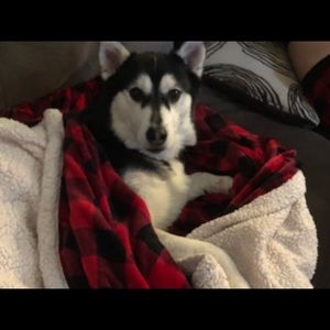 Meet your Posher, Patricia